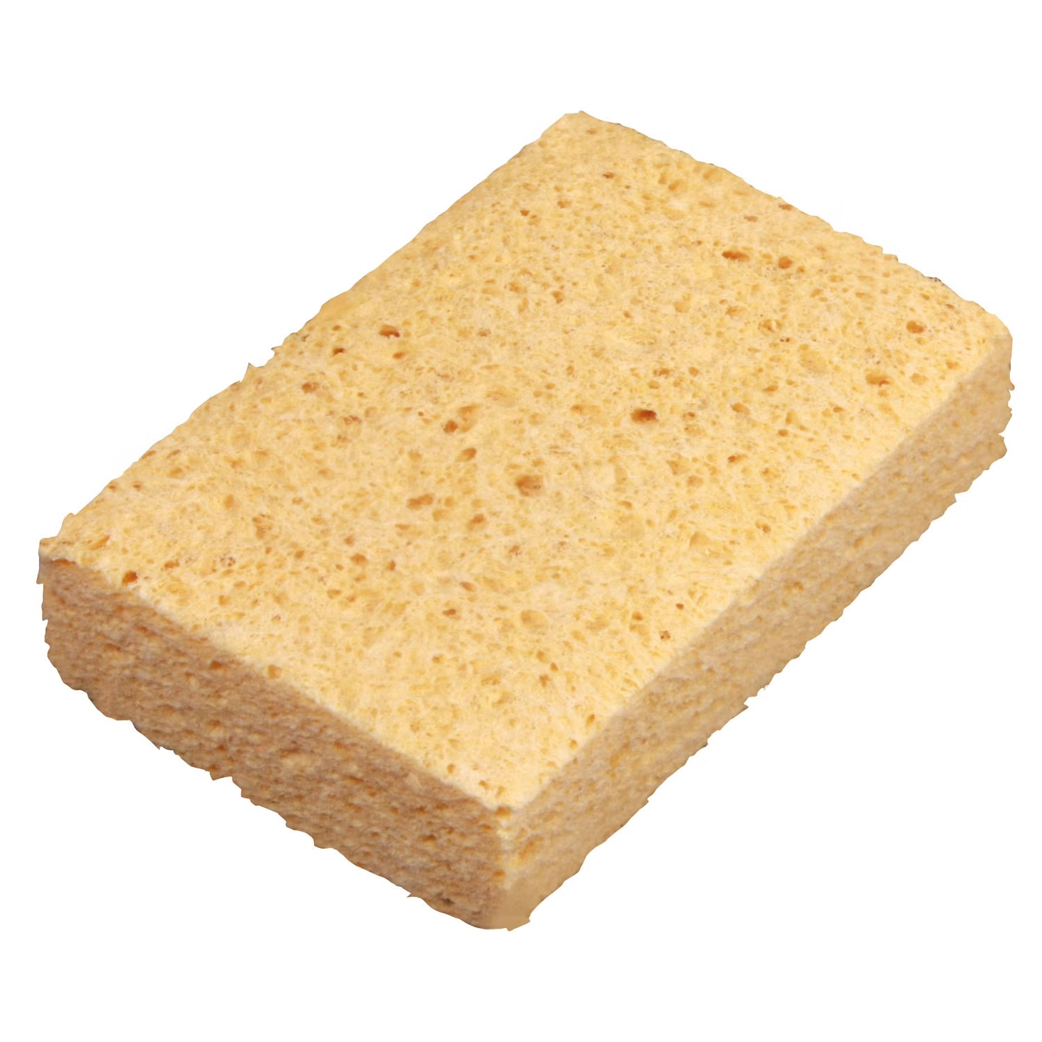 Viscose Sponge